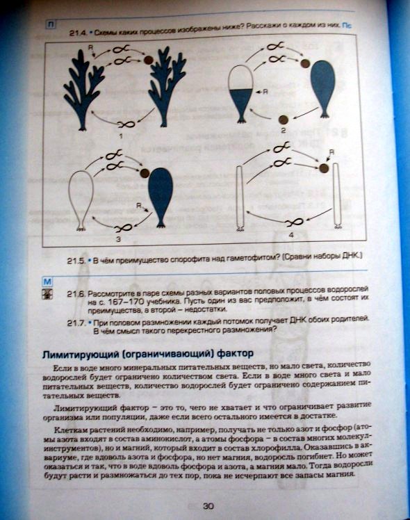 биозад_2.jpg